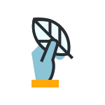 Roof Cleaning-icon1
